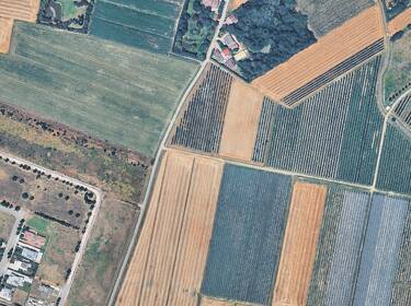 foto principale del terreno