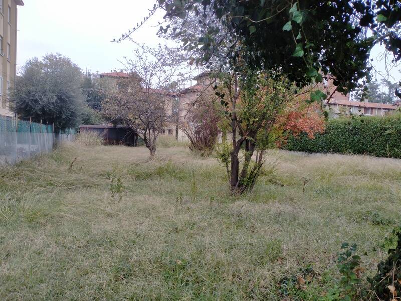 immagine annuncio 2 di 3