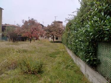 foto principale del terreno