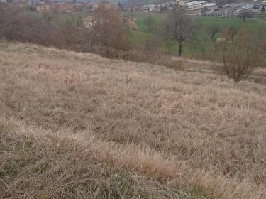 foto principale del terreno