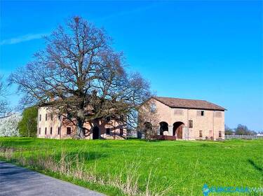 foto principale del terreno