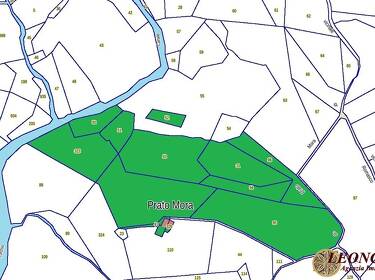 foto principale del terreno