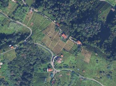 foto principale del terreno