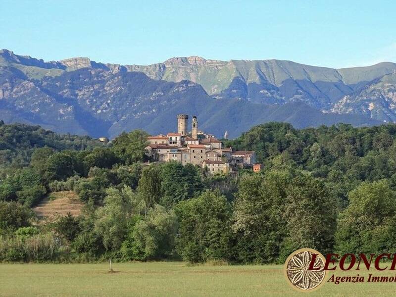 foto principale del terreno