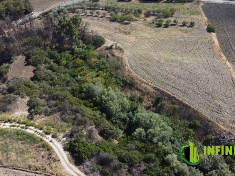 foto principale del terreno
