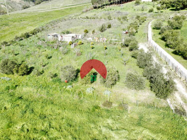 foto principale del terreno