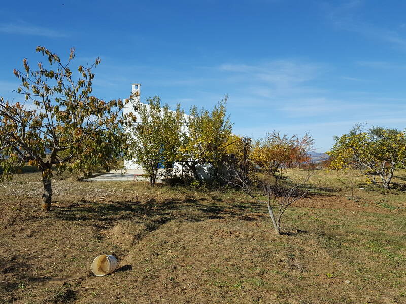foto principale del terreno