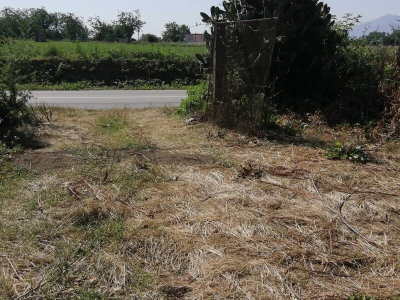 foto principale del terreno