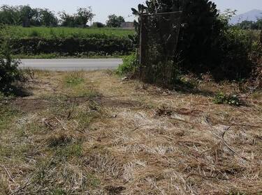 foto principale del terreno