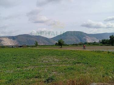 foto principale del terreno