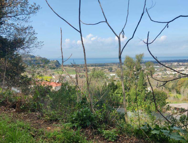 foto principale del terreno