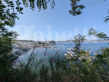 foto principale del terreno