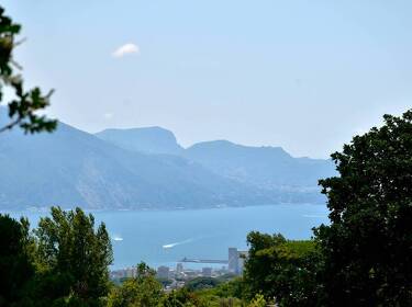 foto principale del terreno