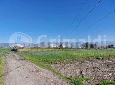 foto principale del terreno