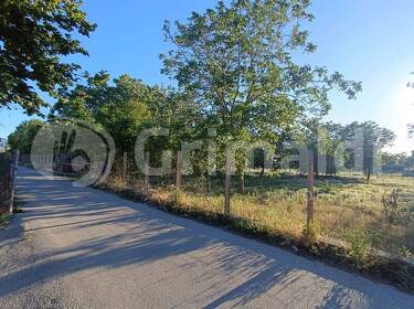foto principale del terreno