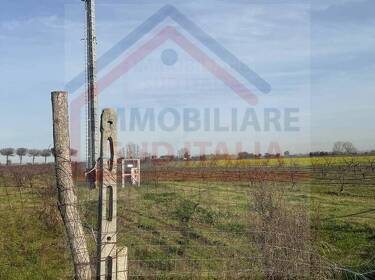 foto principale del terreno