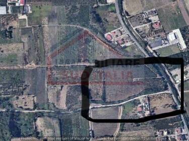 foto principale del terreno