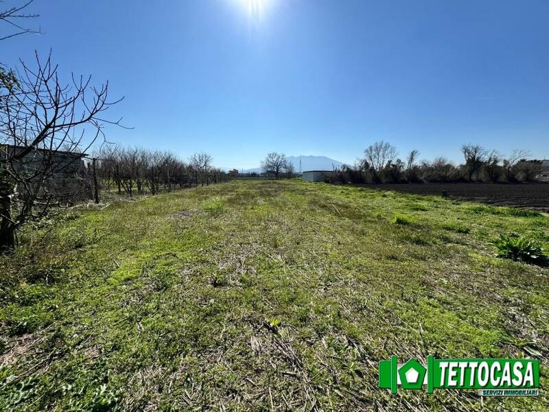foto principale del terreno