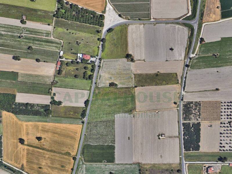 foto principale del terreno