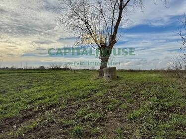 foto principale del terreno