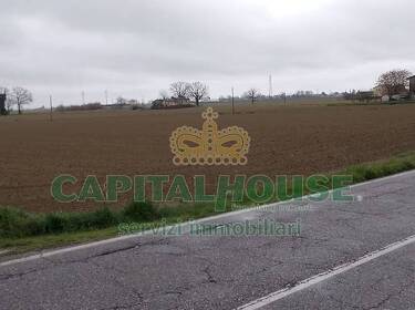 foto principale del terreno