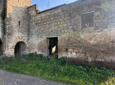 foto principale del terreno