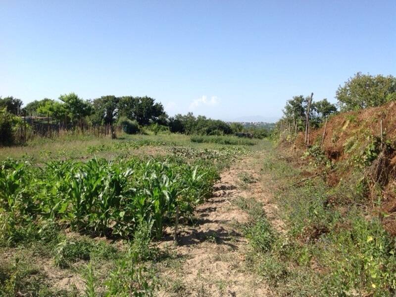 foto principale del terreno