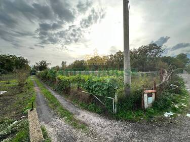 foto principale del terreno