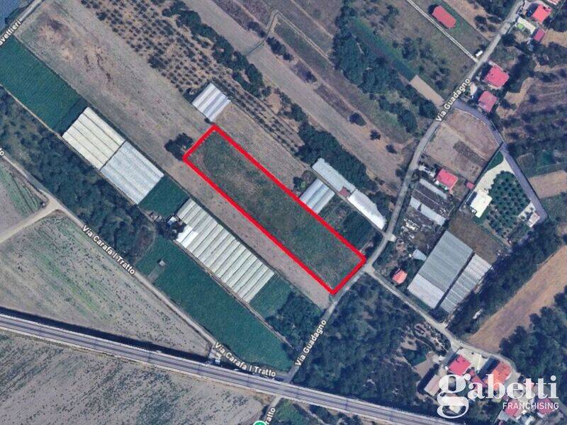 foto principale del terreno