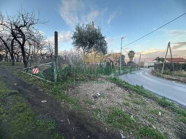 foto principale del terreno