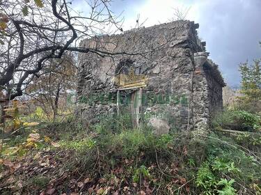 foto principale del terreno