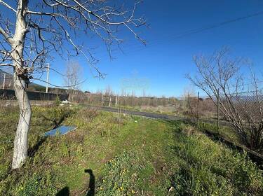 foto principale del terreno