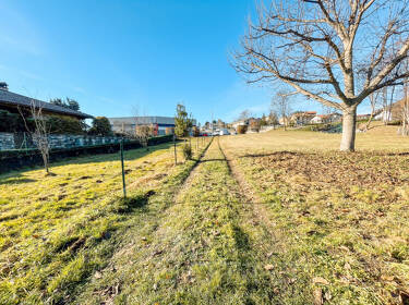 foto principale del terreno