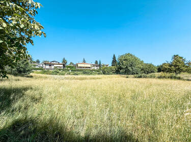 foto principale del terreno