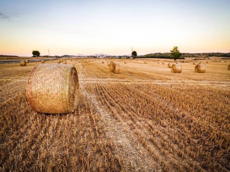 foto principale del terreno