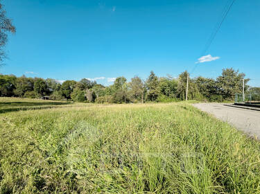 foto principale del terreno