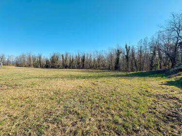 foto principale del terreno