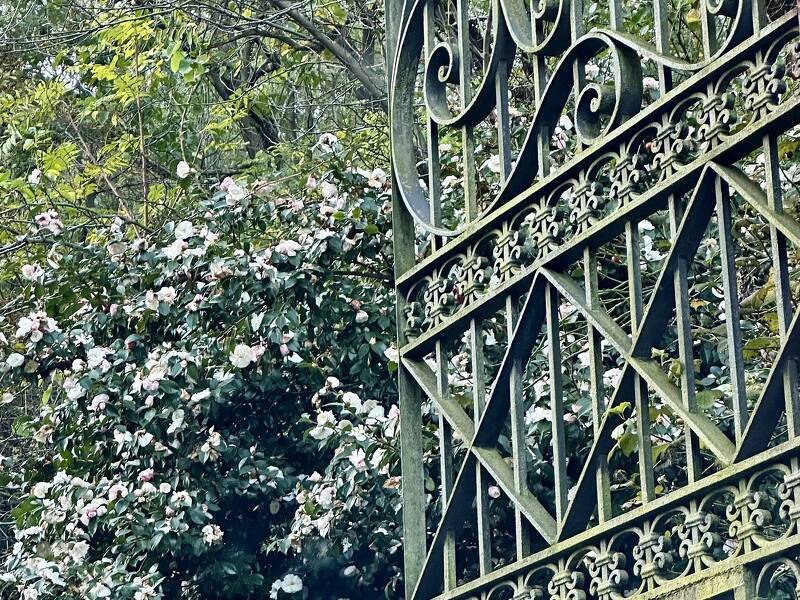 foto principale del terreno