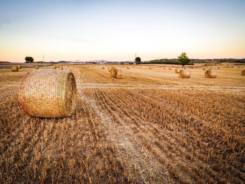 foto principale del terreno