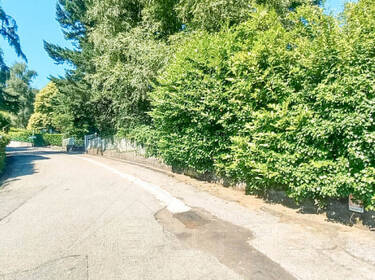 foto principale del terreno