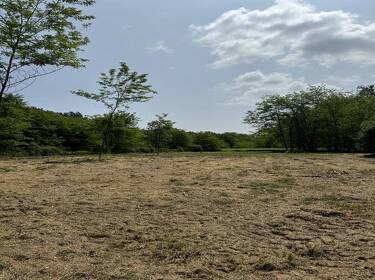 foto principale del terreno