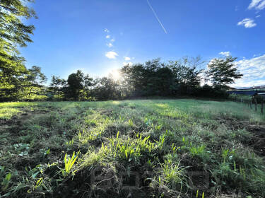foto principale del terreno
