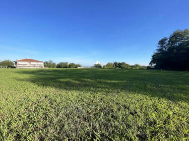 foto principale del terreno