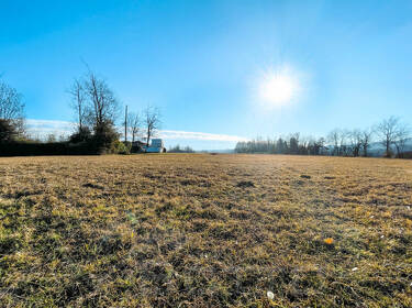 foto principale del terreno