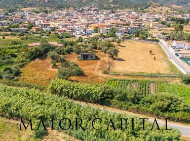 foto principale del terreno