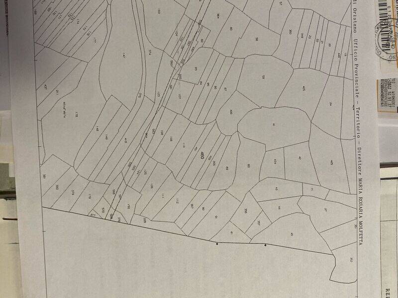 foto principale del terreno