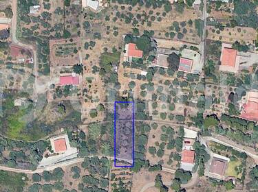 foto principale del terreno