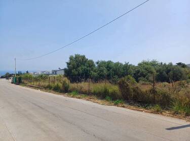 foto principale del terreno
