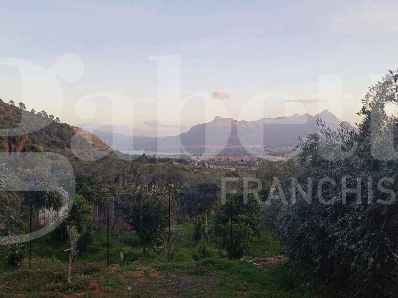 foto principale del terreno