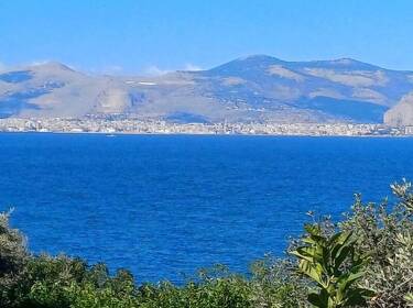 foto principale del terreno